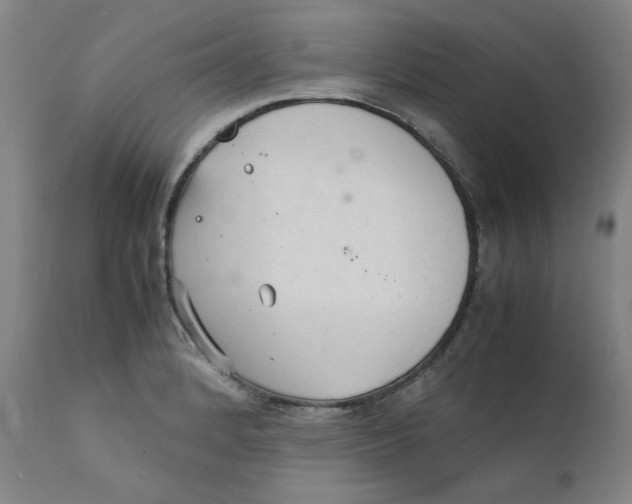 X0000111231184200907231457