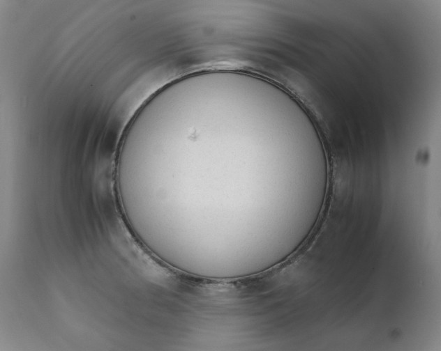 X0000111231186200907231457