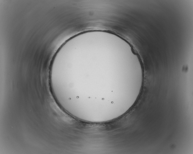 X0000111231187200907231457
