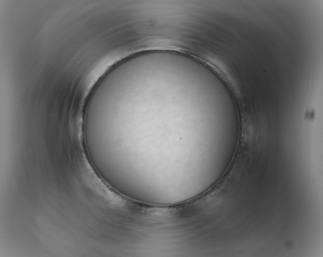 X0000111231188200907231457