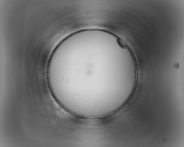 X0000111231189200907231457
