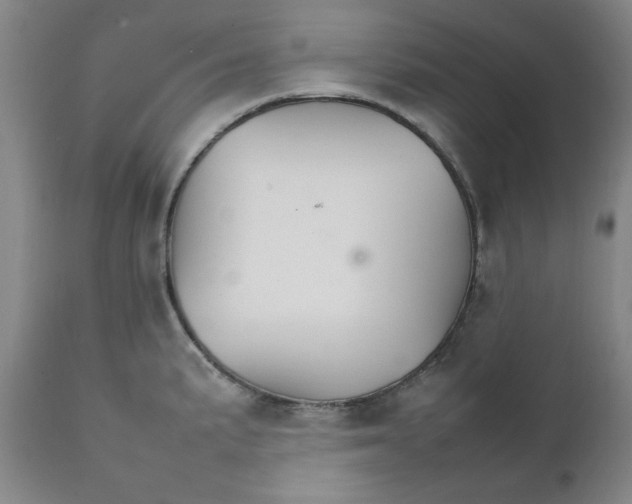X0000111231191200907231457