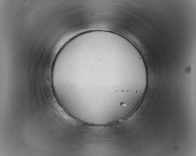 X0000111231192200907231457