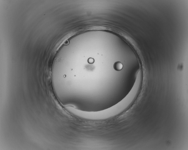 X0000111231193200907231457