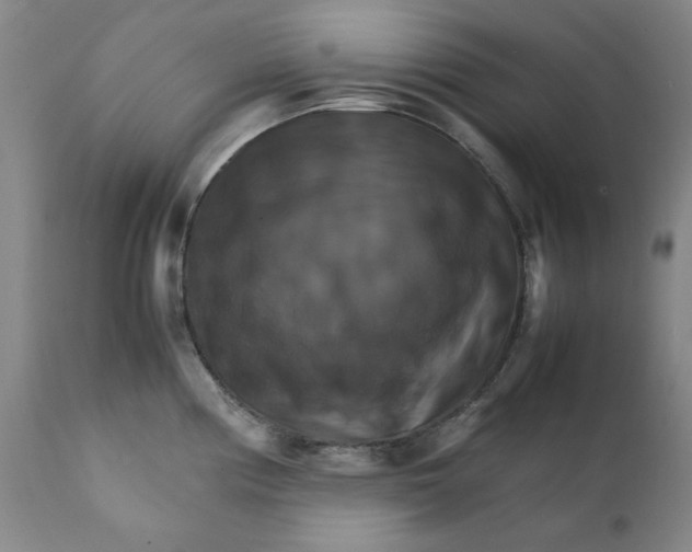 X0000111231194200907231457