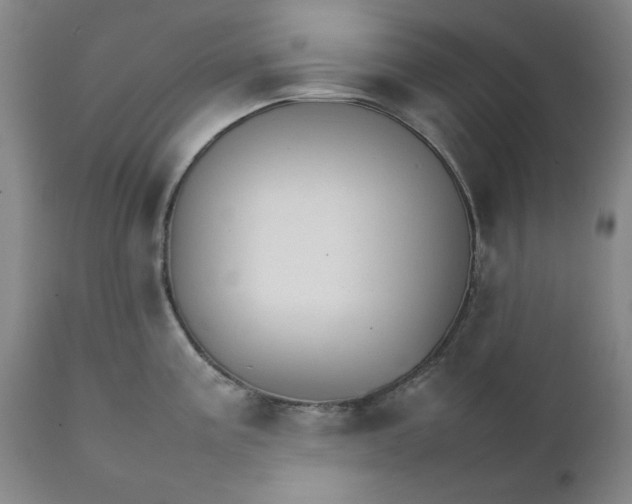 X0000111231195200907231457