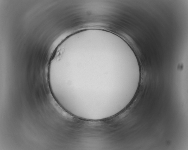 X0000111231196200907231457