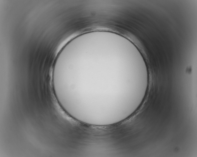 X0000111231198200907231457