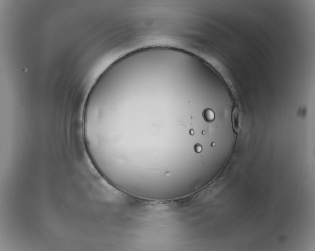 X0000111231199200907231457