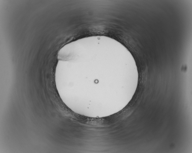 X0000111231201200907231456