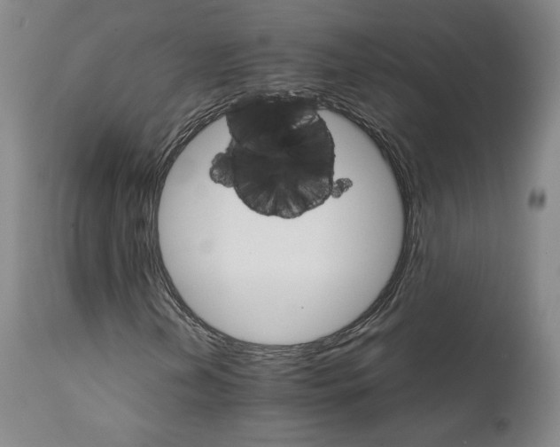 X0000111231202200907231456