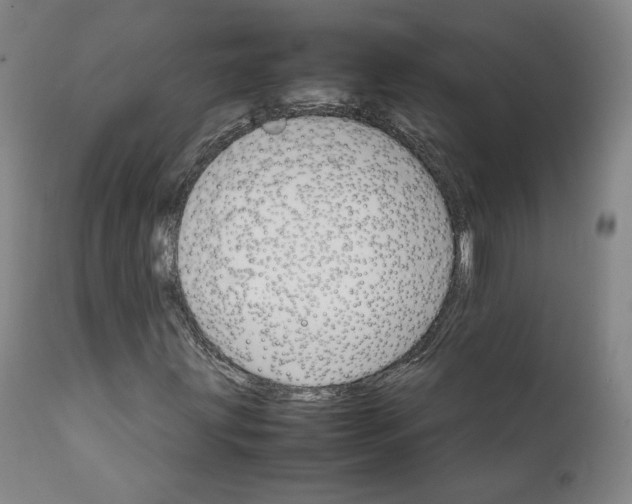 X0000111231203200907231456