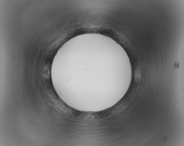 X0000111231204200907231456