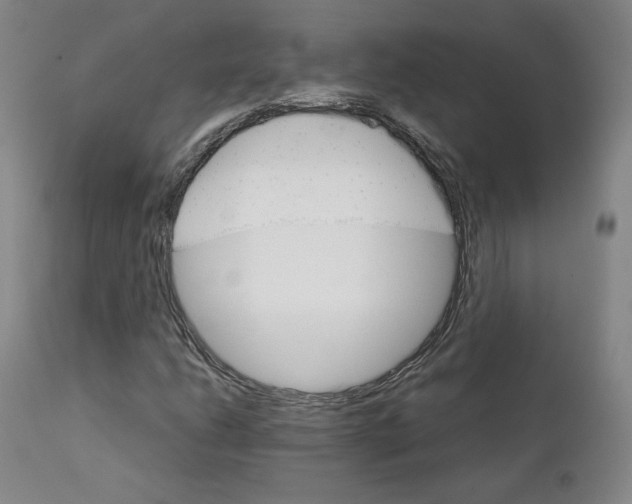 X0000111231206200907231456