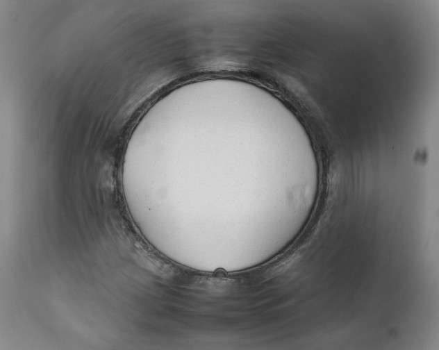X0000111231209200907231456