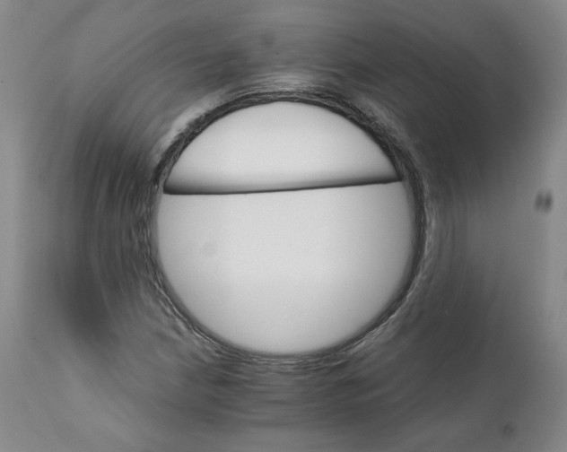 X0000111231210200907231456
