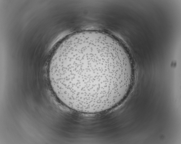 X0000111231211200907231456