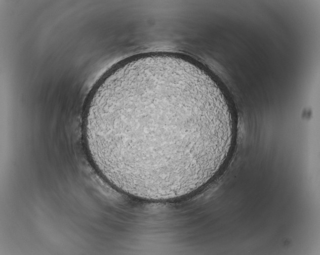 X0000111231212200907231456