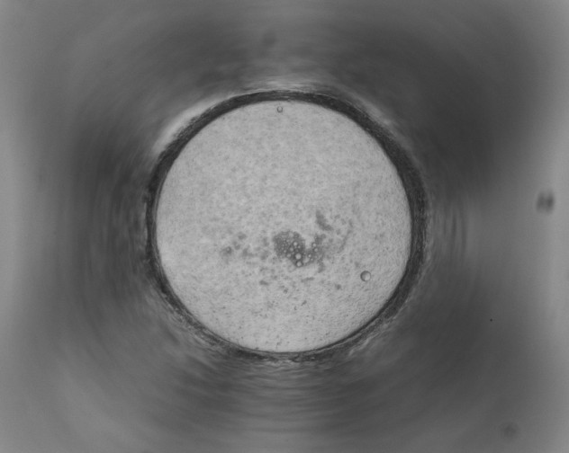 X0000111231214200907231456