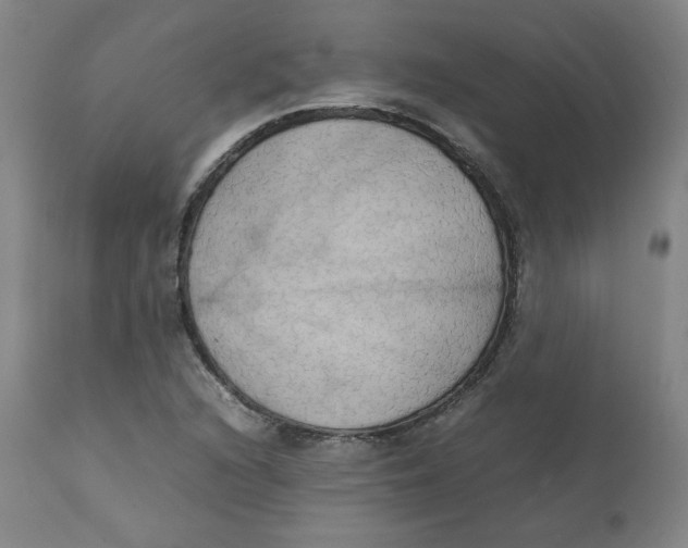 X0000111231216200907231456