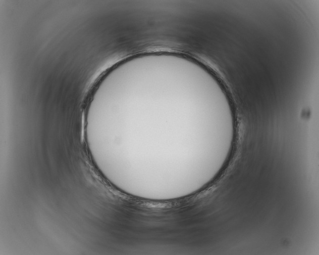X0000111231219200907231457