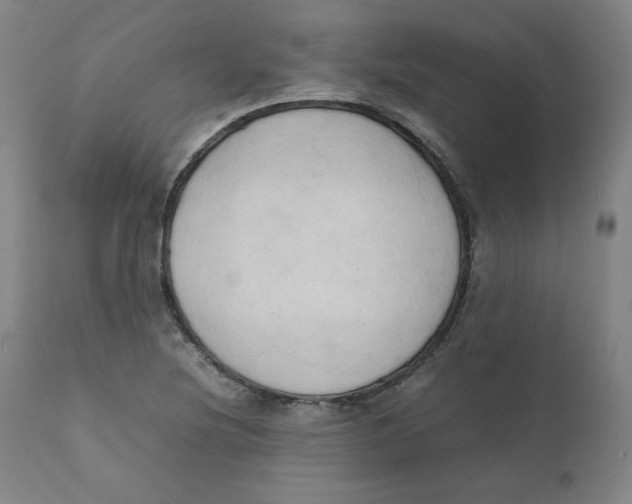 X0000111231220200907231457