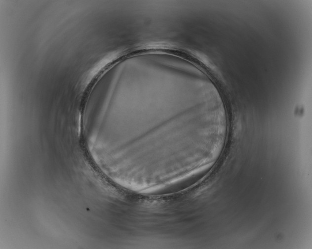 X0000111231221200907231457