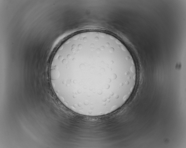 X0000111231222200907231457