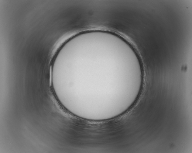 X0000111231223200907231457