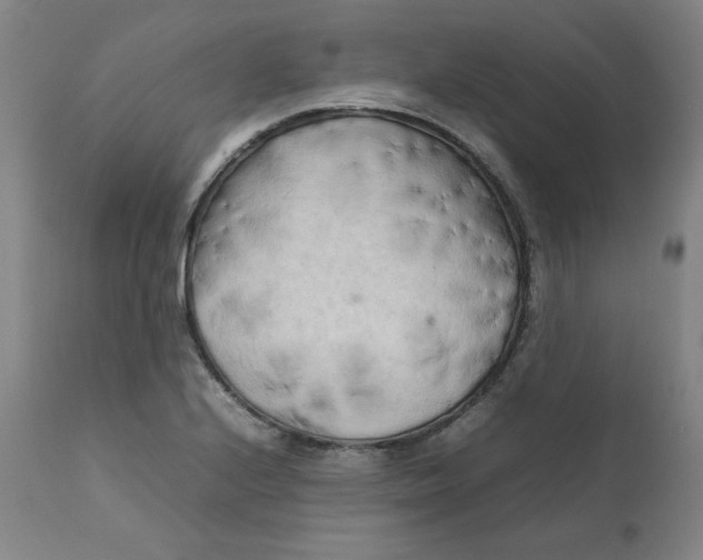 X0000111231224200907231457