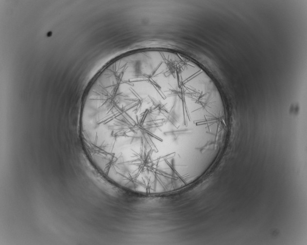 X0000111231228200907231457