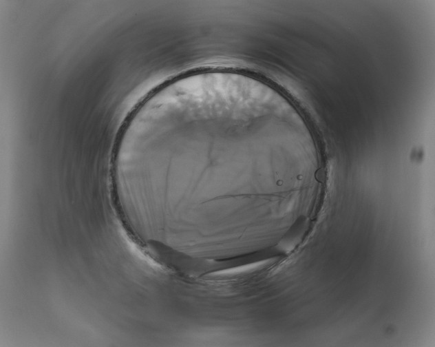 X0000111231229200907231457