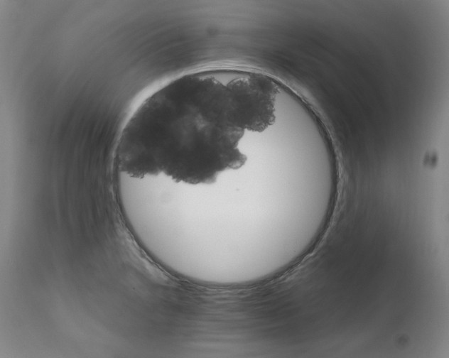 X0000111231230200907231457