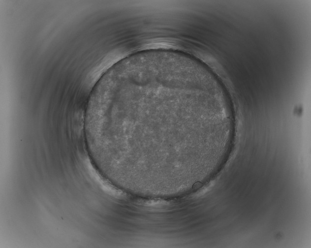 X0000111231233200907231457