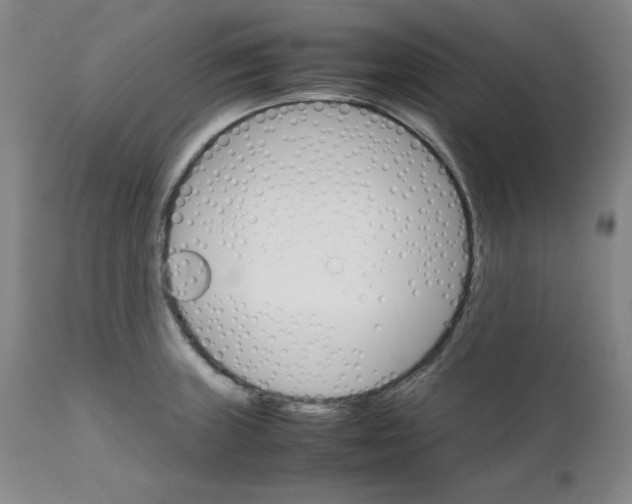 X0000111231235200907231457