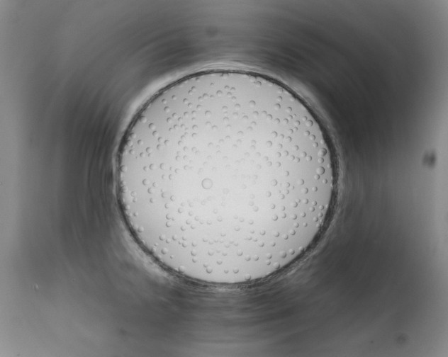 X0000111231238200907231457