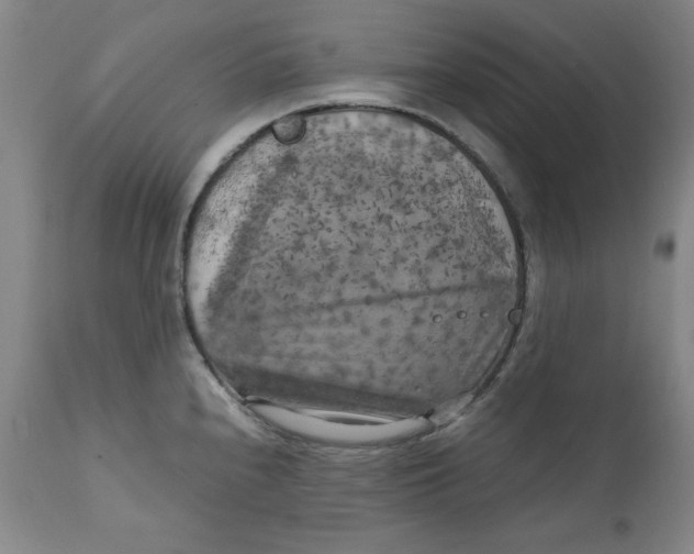 X0000111231240200907231457