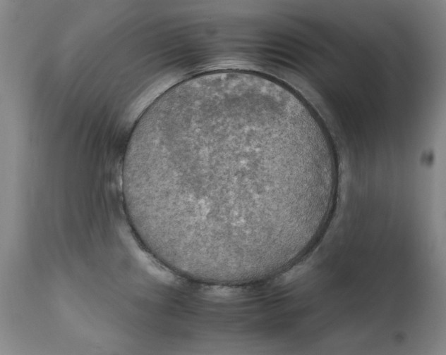X0000111231241200907231457