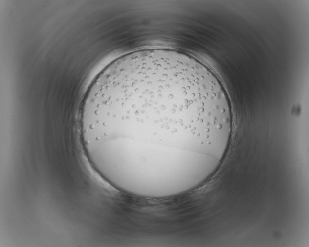 X0000111231243200907231457