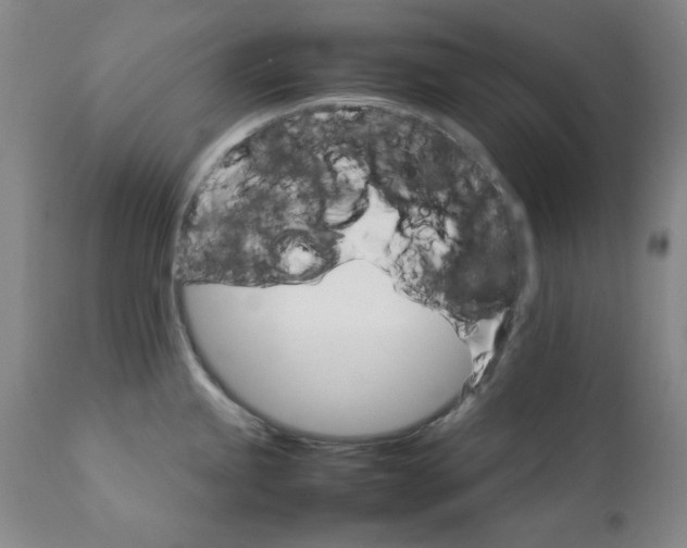 X0000111231245200907231457