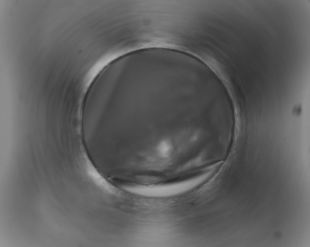 X0000111231246200907231457