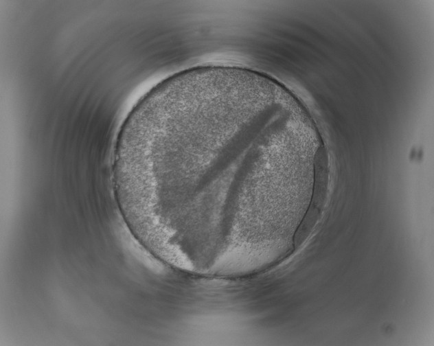X0000111231248200907231457
