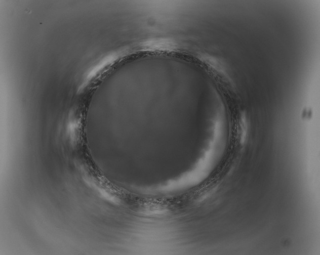 X0000111231254200907231456