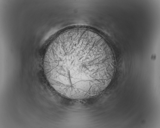 X0000111231255200907231456