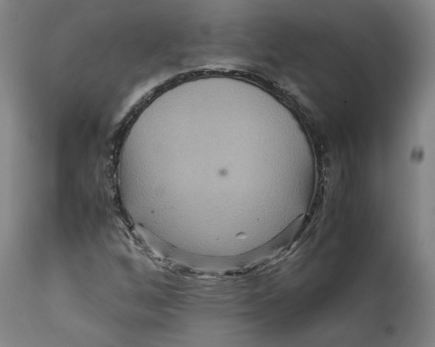 X0000111231256200907231456
