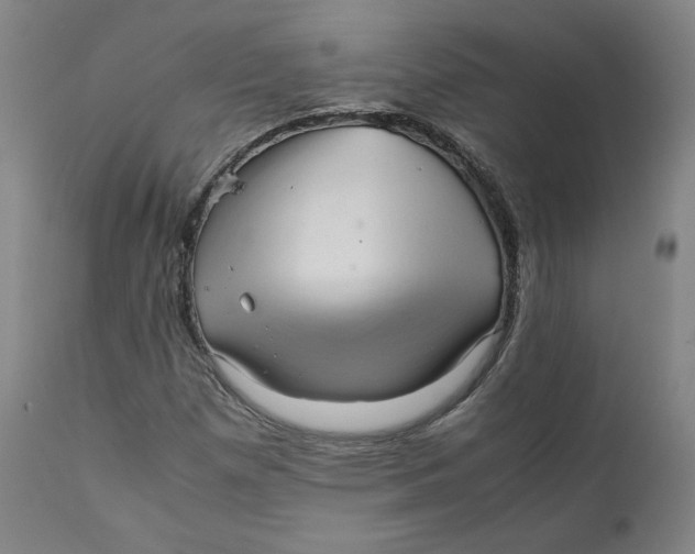 X0000111231257200907231456