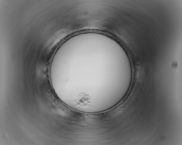 X0000111231258200907231456
