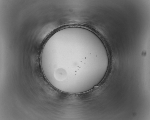 X0000111231259200907231456