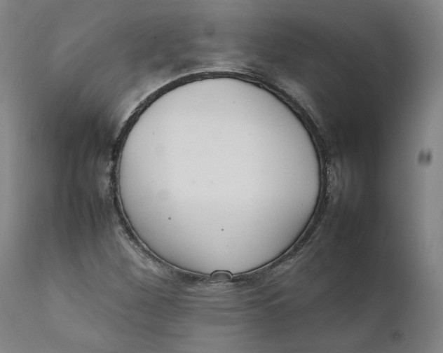 X0000111231260200907231456
