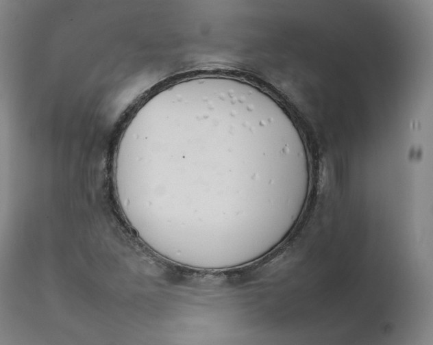 X0000111231261200907231456